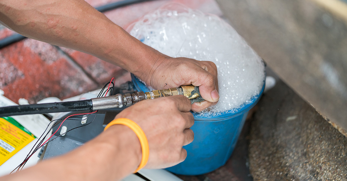 Blue Wolf Cleaners Ultimate Vehicle Care Article Royal Brass & Hose